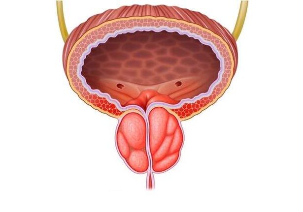 Trattamento della prostatite negli uomini